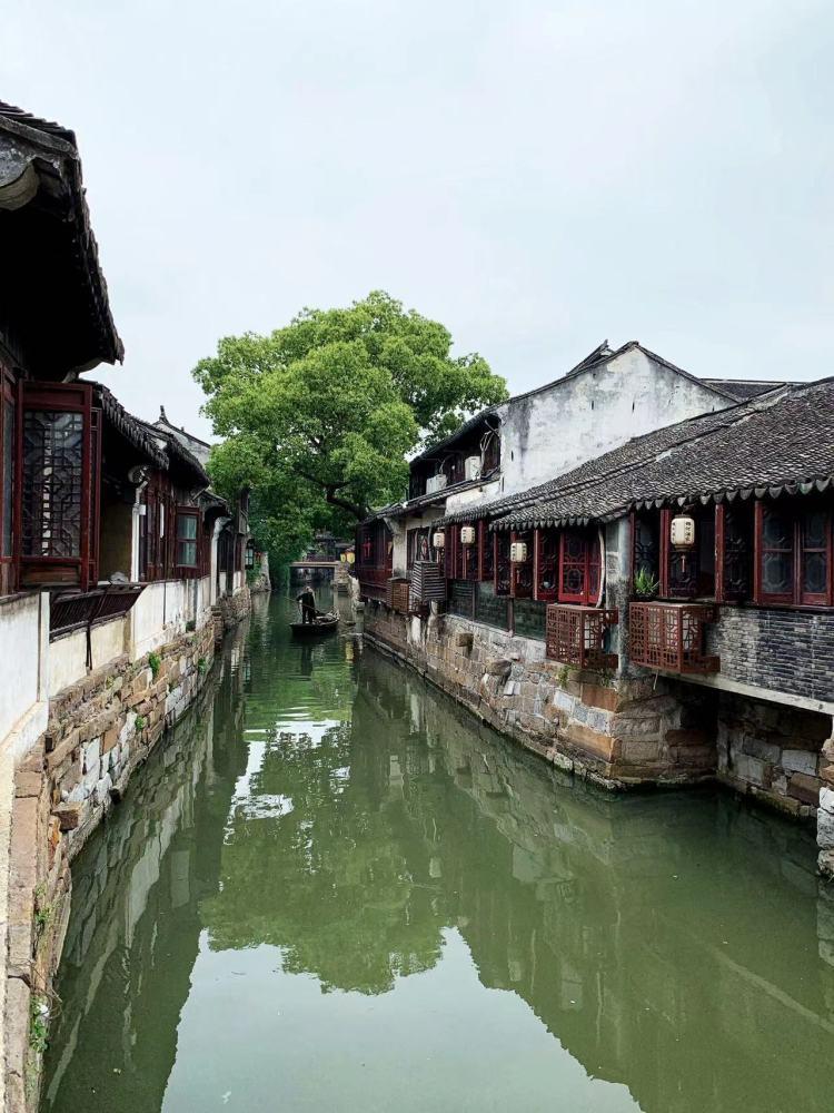 小猫钓鱼游戏龙王版有船